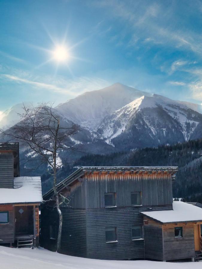 Chalet Sternwarte Hohentauern Ngoại thất bức ảnh