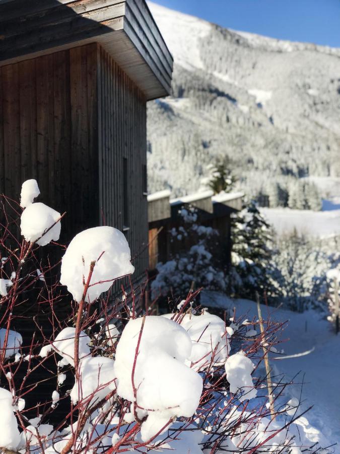 Chalet Sternwarte Hohentauern Ngoại thất bức ảnh